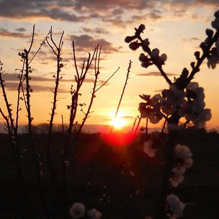 & Wellness Antico Borgo Torricella Hotel